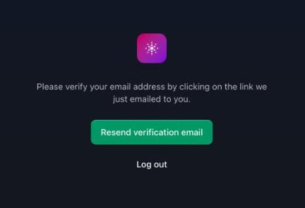 Please verify your email address screen with Resend verification email button